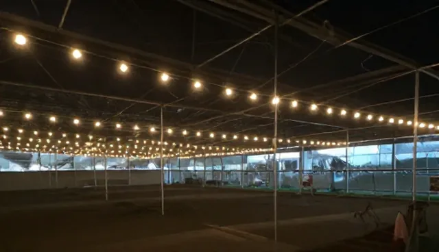 网络工程搭建中全流程跟进的适用场景与限制